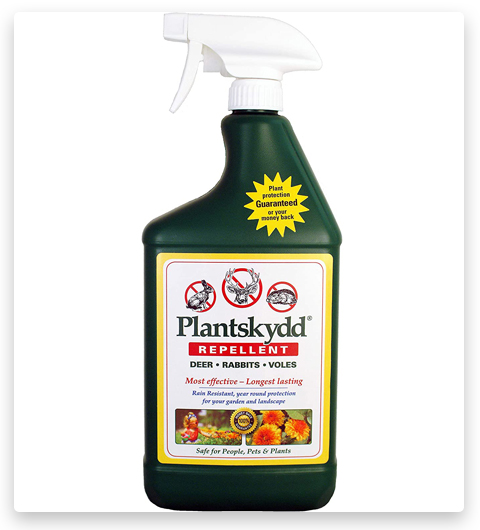 Répulsif pour animaux Plantskydd - Liquide prêt à l'emploi - Bouteille de pulvérisation de 32 Oz 