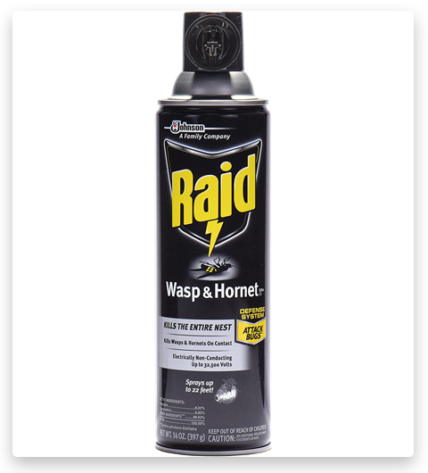 Raid Wasp and Hornet Bee Killer Spray