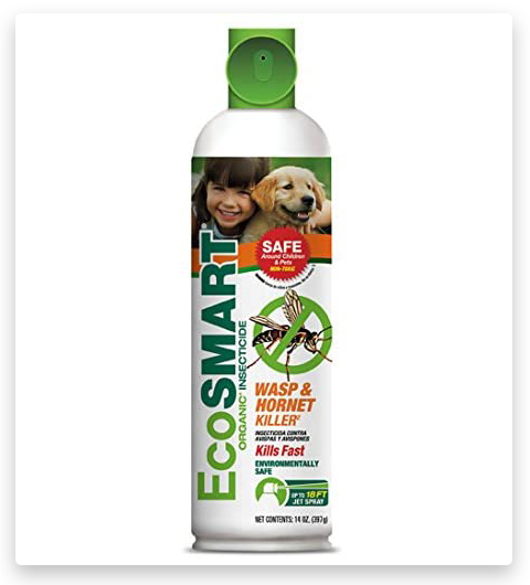 EcoSMART Spray ecológico para matar avispas, avispones y abejas