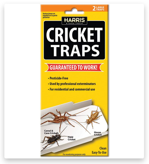 HARRIS Cricket Glue Spider Traps