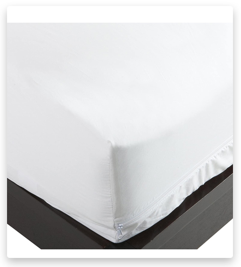 Alergia Nacional 100-Porcent Cotton Bed Bug