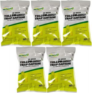 Read more about the article Best Wasp Baits 2023