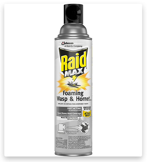 Raid Wasp and Hornet Killer Spray