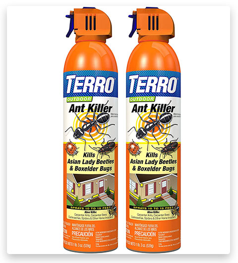 Terro T1700SR Spray antiformiche per esterni da 19 oz - Confezione da 2 pezzi