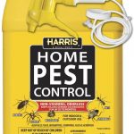 Les meilleurs sprays pour les termites volants 2023