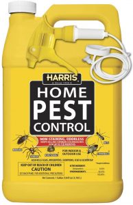 Read more about the article Best Sprays For Flying Termites 2022
