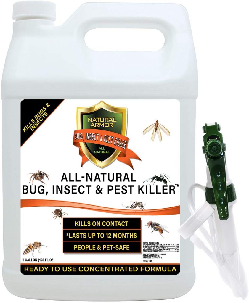 Roach / Cockroach Best Pest Control Products