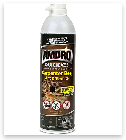 Spray Quick Kill pour abeilles charpentières, fourmis et termites d'Amdro