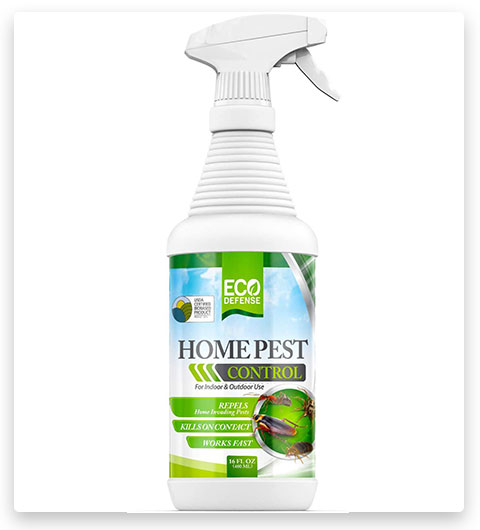 Eco Defense Home Pest Control Kitchen Ant Killer Spray