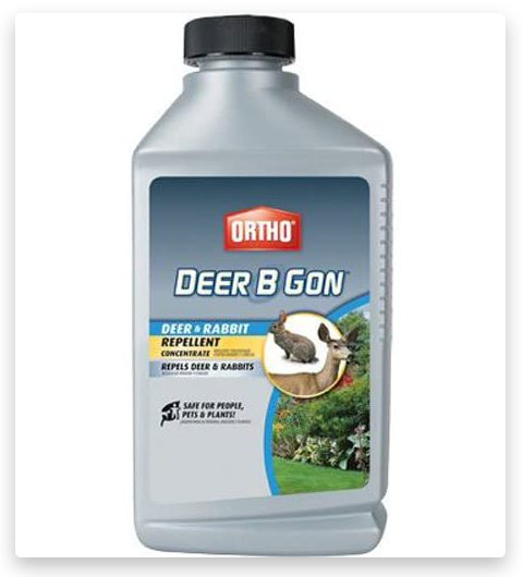 Ortho Deer B Gon Deer and Rabbit Repellent Concentrate