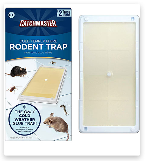 Catchmaster Trappole collanti professionali per topi e ratti a basse temperature