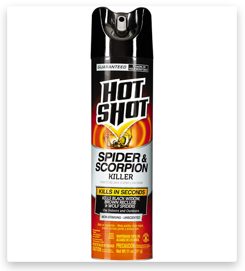 Hot Shot Spider & Scorpion Killer, Aerosol