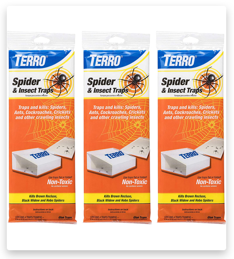 TERRO Spider & Insect Spider Traps