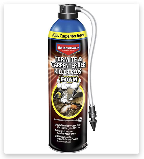 Pesticide BioAdvanced Termite Spray & Carpenter Bee Killer Plus Pesticide