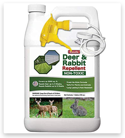 Duuda Deer and Rabbit Repellent