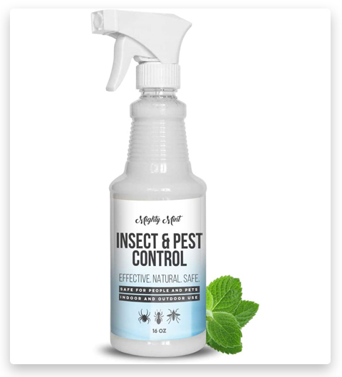 Mighty Mint - Olio di menta piperita per il controllo di insetti e parassiti