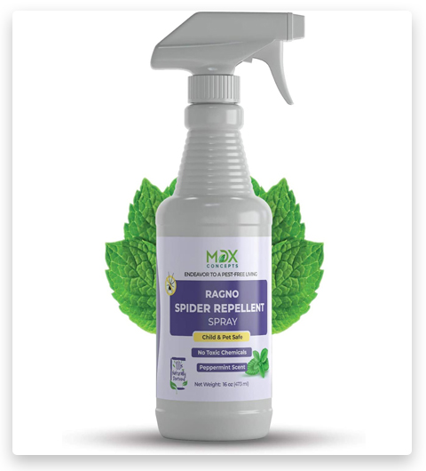 Organic Spider Repellent Spray - Peppermint Oil 