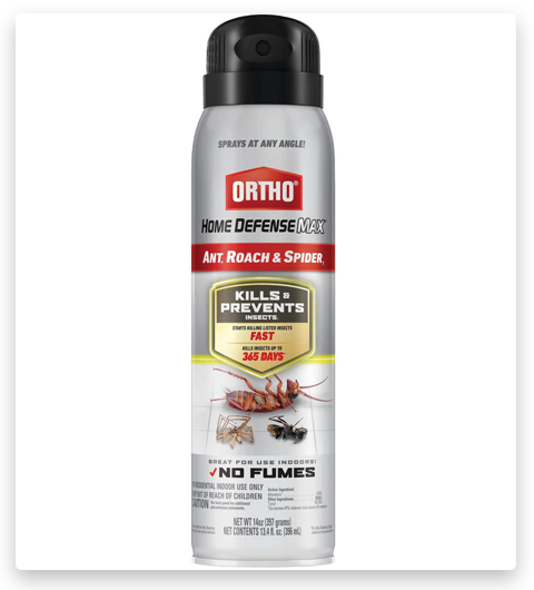 Ortho Home Defense Max Roach, Spider & Bee Killer Spray (spray anti-cafards, araignées et abeilles)