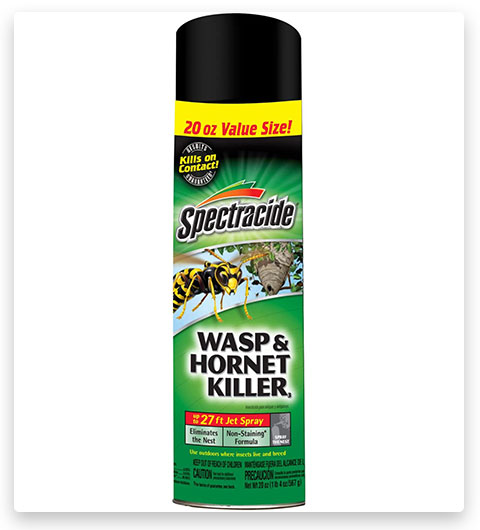 Spectracide Wasp & Hornet Killer Spray
