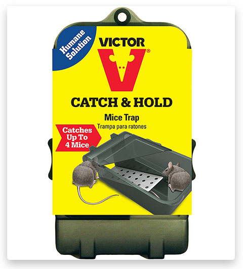 Victor Multiple Catch Humane Live Mouse Trap