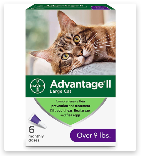 Advantage II Prevenzione e trattamento delle pulci per gatti di taglia grande, oltre i 9 chili di peso