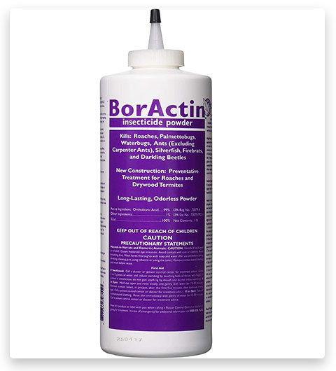 Rockwell Labs BAIP001 BorActin Insect Dust Insecticide for Roaches