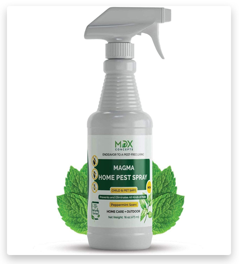 Organic Home Pest Control Spray - Peppermint Oil