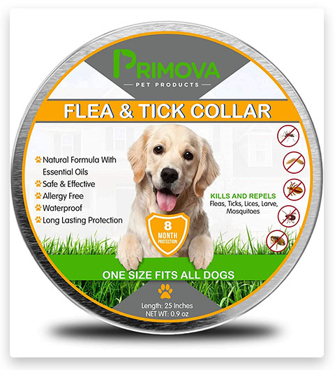 Collier anti-puces et anti-tiques Primova pour chiens, enrichi d'une huile essentielle naturelle