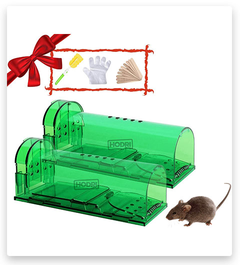 Humane Mouse Trap, Easy to Set