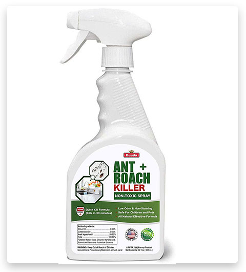 Duuda Kitchen Ant Killer Liquid Spray with Odorless