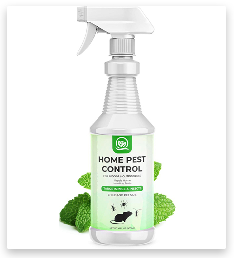 NATURAL OUST Peppermint Oil Mouse Roach Repellent Spray