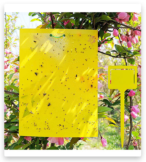 ALIGADO 50 Sheets Yellow Sticky Carpenter Bee Traps