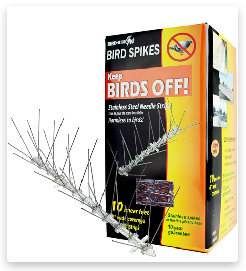 Bird-X Regular Width 6-inch Stainless Steel Deterrent Spikes (pointes dissuasives pour les oiseaux)