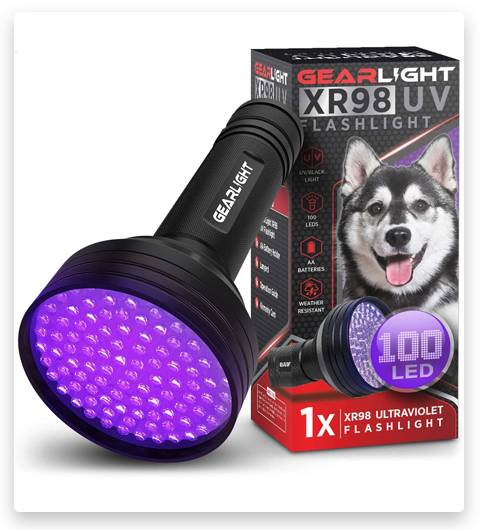 GearLight Linterna de luz negra UV XR98 - Detector de manchas de mascotas para orina de perro, escorpiones y chinches