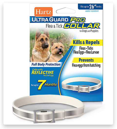 Hartz Ultraguard Floh- und Zeckenhalsband für Hunde und Welpen