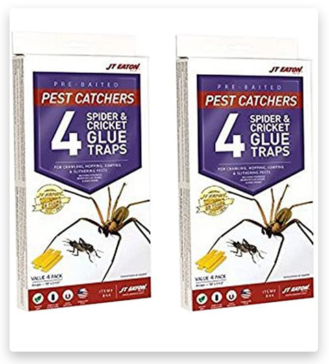 JT Eaton Pest Catchers Large Spider and Cricket Size Attractant Spider Trap