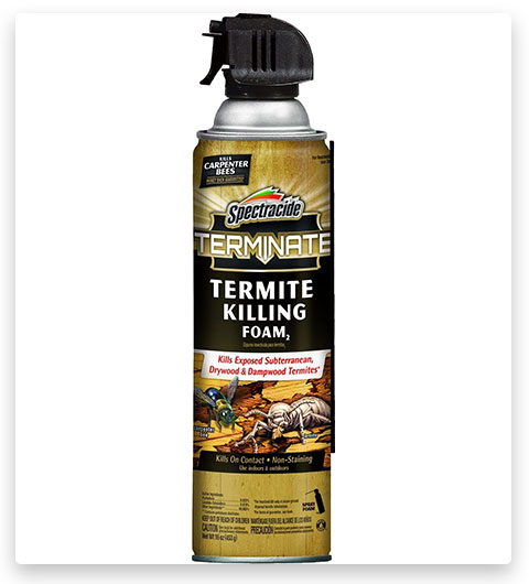 Spectracide Terminate Termite Killer Foam (mousse anti-termites)