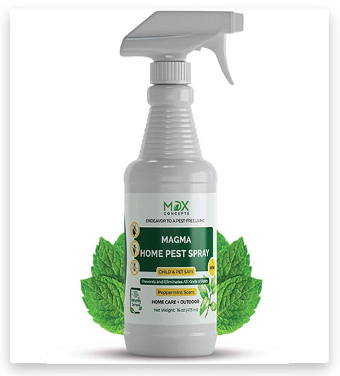 MDXconcepts Spray Antihormigas Orgánico para el Control de Plagas en el Hogar