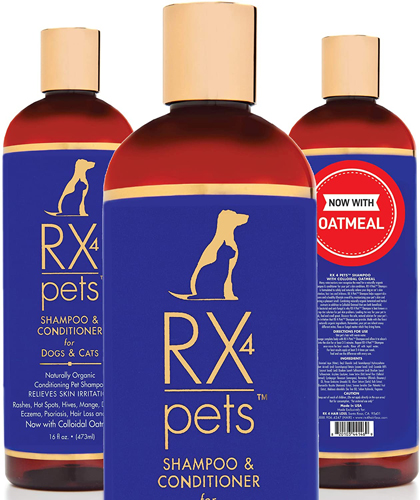 Más información sobre el artículo Best Flea Shampoo for Cats 2023