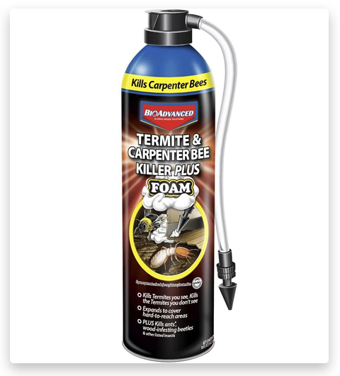 BioAdvanced Termite & Carpenter Bee Killer Spray Plus Pesticide
