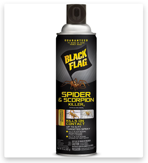 Black Flag Spider & Scorpion Killer Aerosol Spray