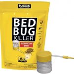Best Bed Bugs Killers 2022