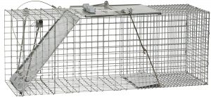 Read more about the article Best Rabbit Traps 2023