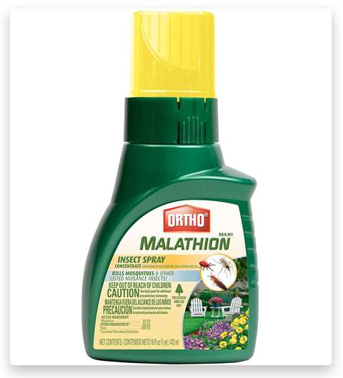 Ortho MAX Malathion Insect Spray Concentré