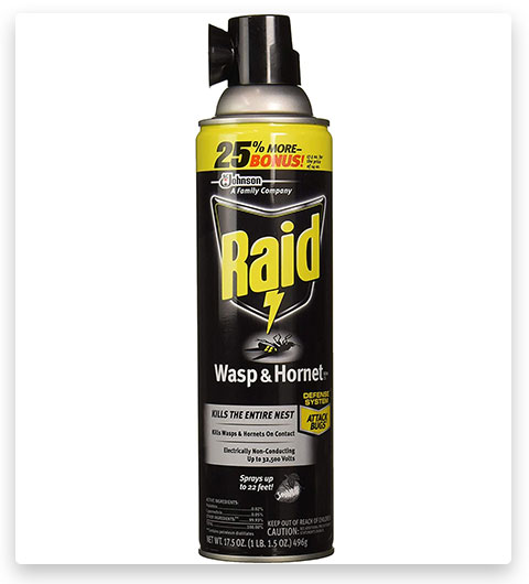 Raid Wasp & Hornet Killer Spray