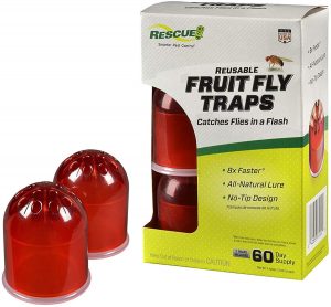 Lesen Sie mehr über den Artikel Best Fruit Fly Traps 2022