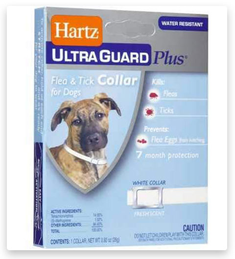 Hartz Ultraguard Plus Flohhalsband für Hunde