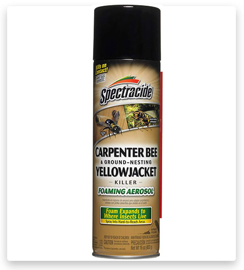 Spectracide Carpenter Bee and Ground Bee Killer Mousse aérosol