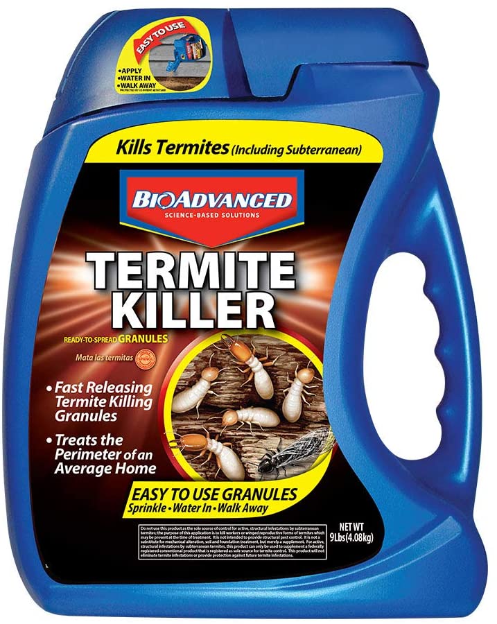 Read more about the article Best Termite Treatment 2023