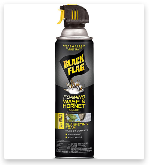 Black Flag Foaming Wasp Spray & Hornet Killer Aerosol Spray